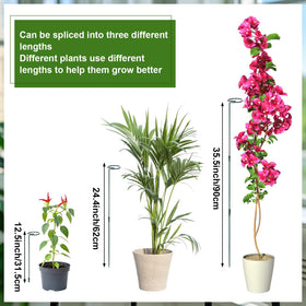 Mwellewm 30 clips ensure secure stem attachment for neat, tidy growth