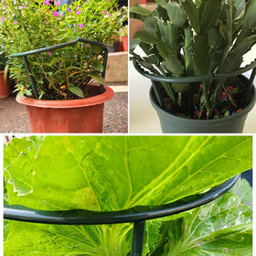Mwellewm sturdy, weather-resistant stake keeps blooms upright during wind and rain