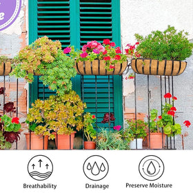 Mxespoir coco liner used in garden decor enhances greenery and curb appeal