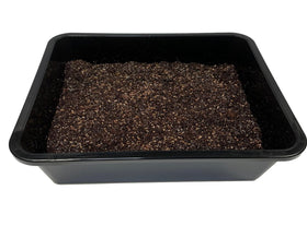 Myco Labs substrate water retention design helps maintain optimal moisture during fruiting.
