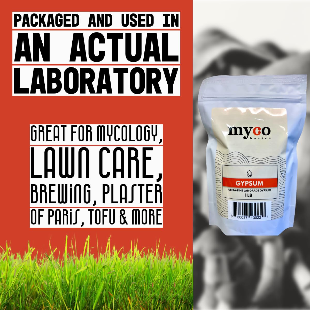 Mycology Basics gypsum on substrate prep supports consistency and improved texture
