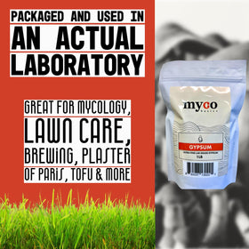 Mycology Basics gypsum on substrate prep supports consistency and improved texture
