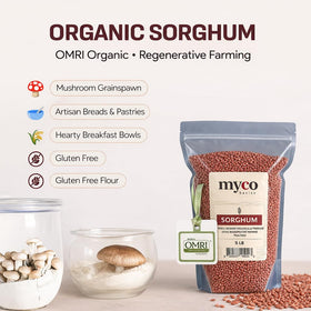 Mycology Basics Organic Sorghum dry seeds on wooden board, ready for bulk storage.