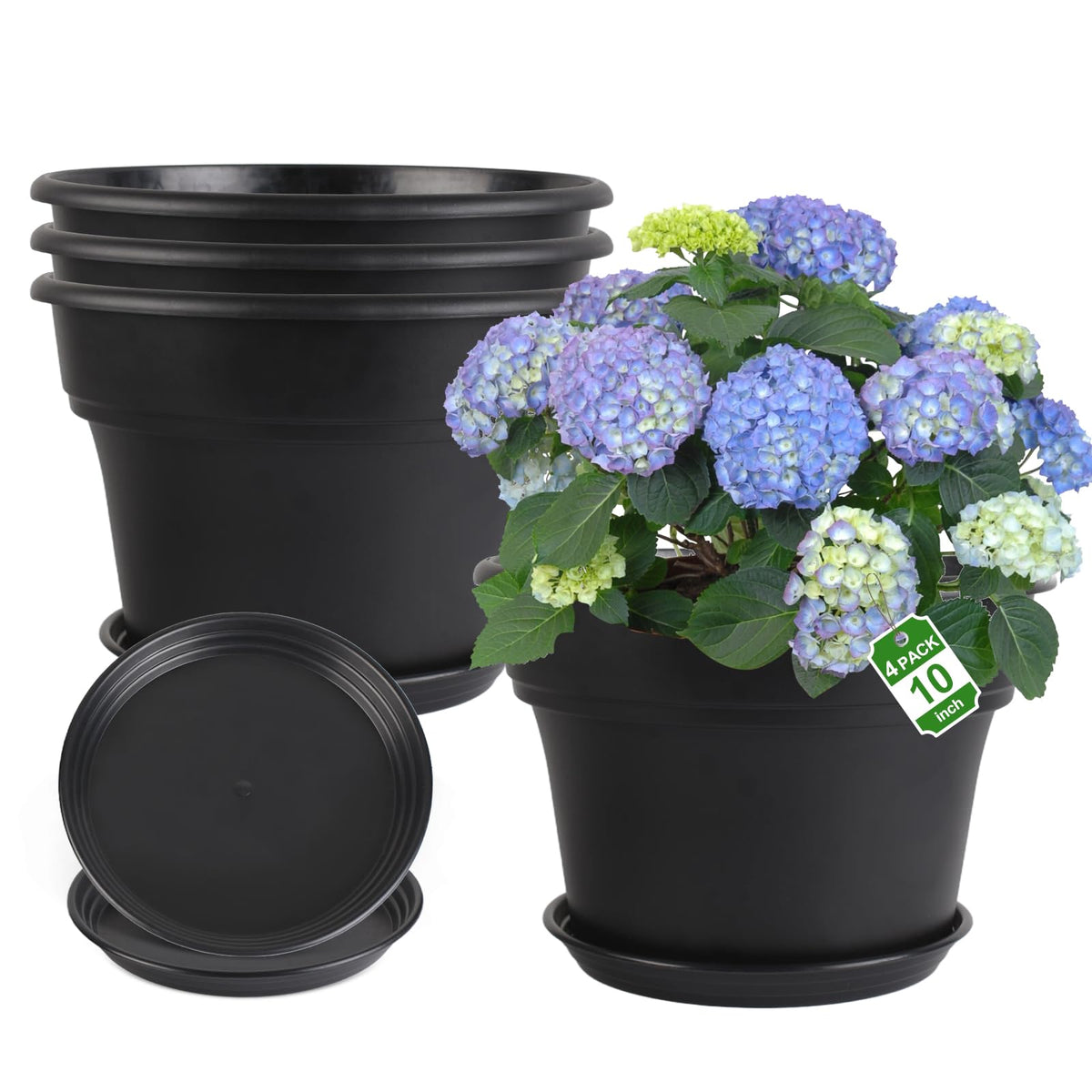 Myfeegoin 10-inch pot front view; sturdy, recyclable plastic for indoor or outdoor use.