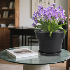 Myfeegoin 10-inch grey pot; complements decor and plant choices.