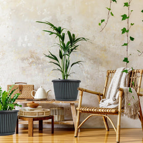 Myfeegoin planters are lightweight and UV resistant.