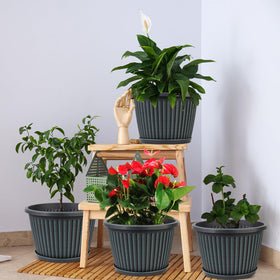 Myfeegoin 4-pack planters for versatile indoor and outdoor use.