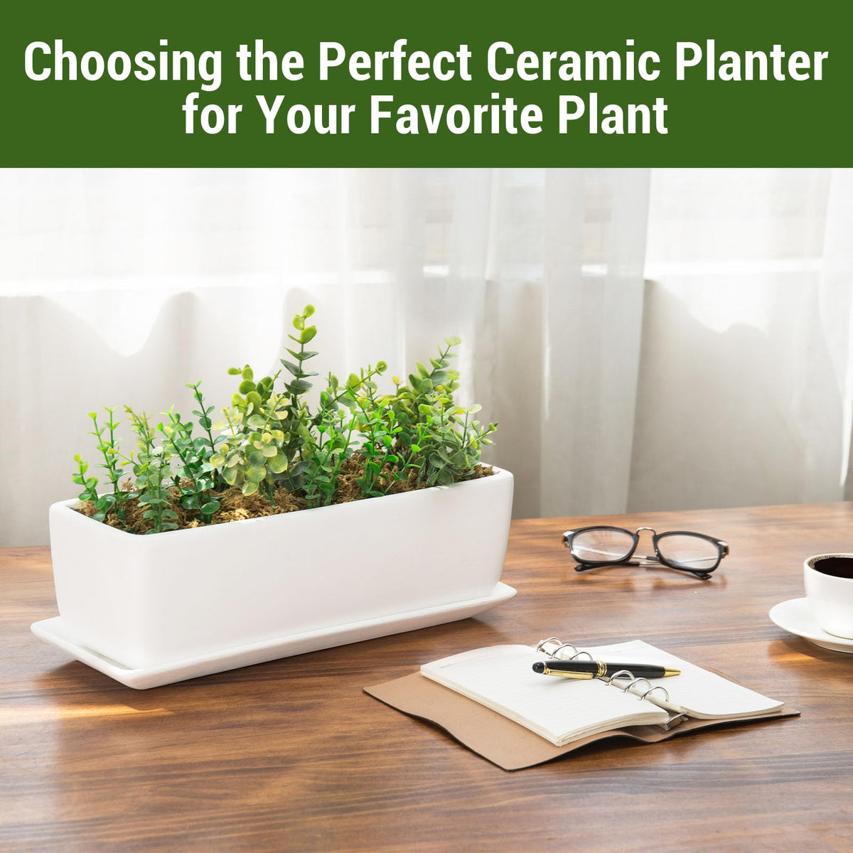 MyGift rectangle succulent planter in unglazed white for stylish windowsill display