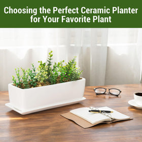 MyGift rectangle succulent planter in unglazed white for stylish windowsill display