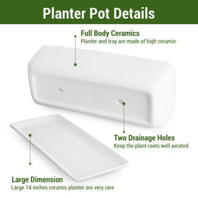 MyGift window sill display suitable for offices or homes