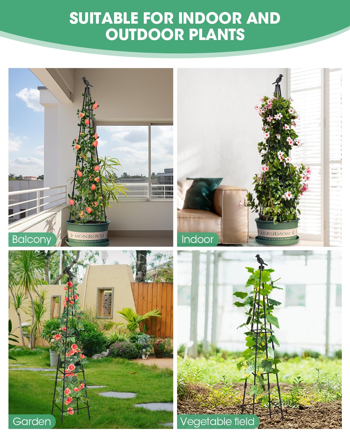 MYMULIKE garden trellis enhances landscape aesthetics and structure.