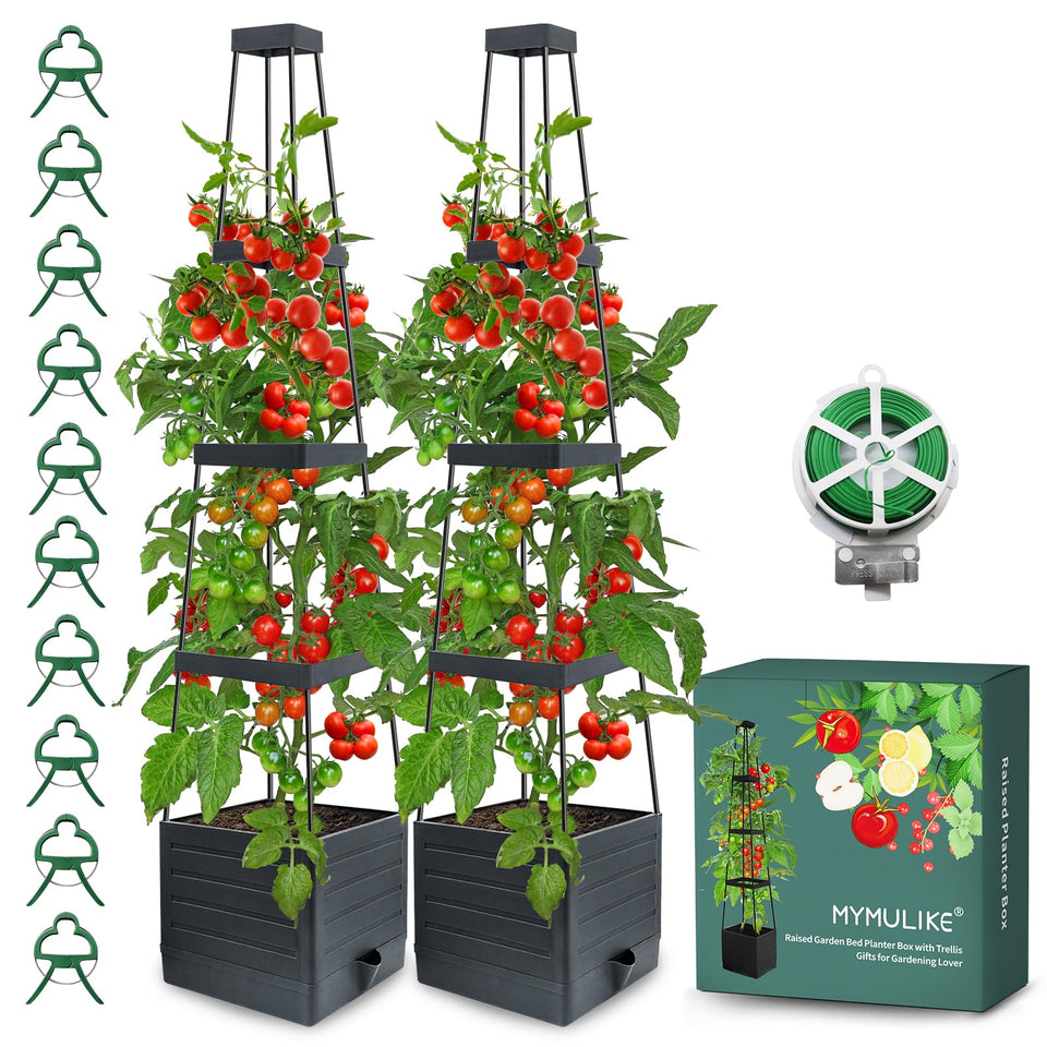 MYMULIKE 2pack raised garden bed with trellis supports climbing plants outdoors.