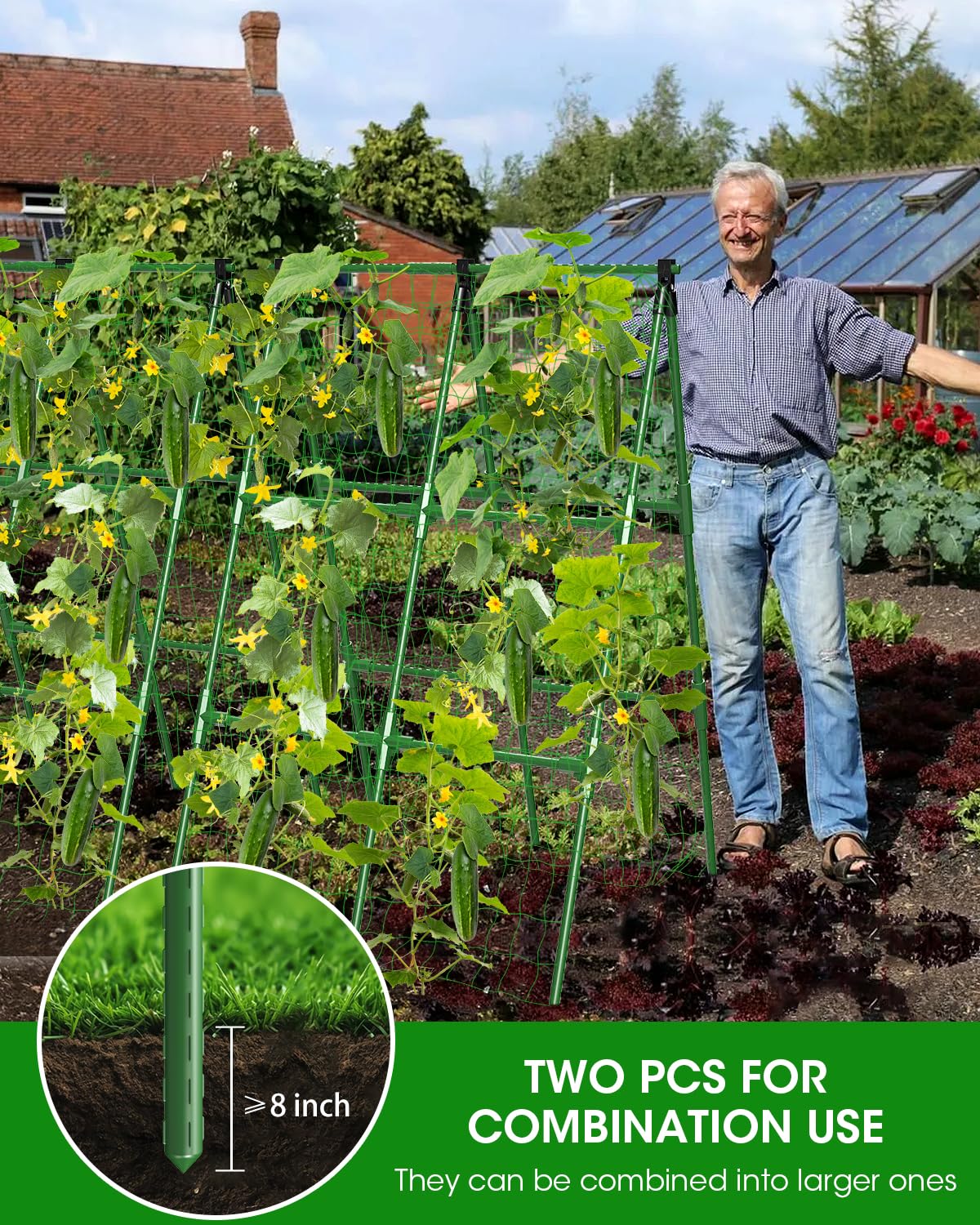 MYMULIKE 4-pack trellis in garden optimizes space for vines.