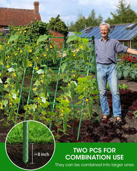 MYMULIKE 4-pack trellis in garden optimizes space for vines.
