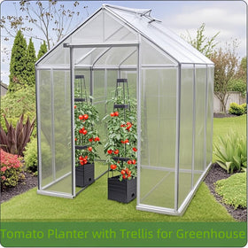 MYMULIKE 58in tomato cage planter provides sturdy vine support for tomatoes and cucumbers.
