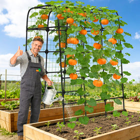 MYMULIKE 7ft arch supports peas and tomatoes with stable, tidy growth