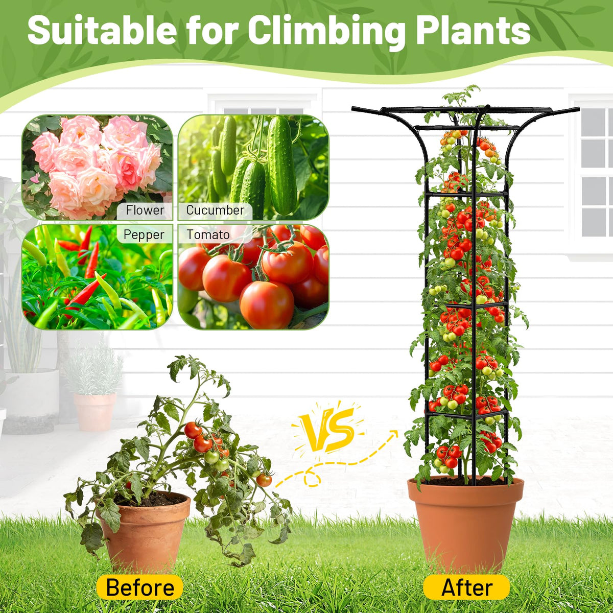 MYMULIKE climbing plant trellis provides sturdy support for roses and clematis.