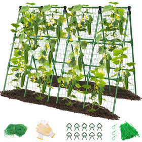 MYMULIKE cucumber trellis A-frame setup promotes vertical growth.