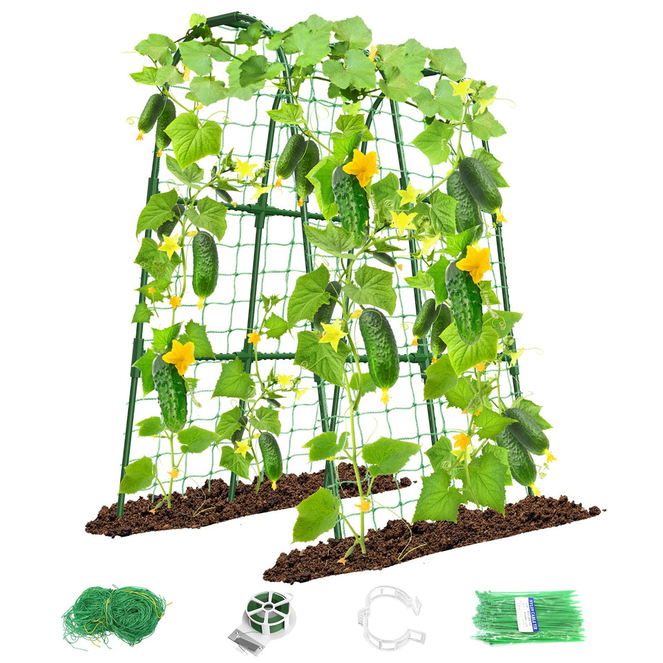 MYMULIKE cucumber trellis arch supports climbing vines for healthier growth.