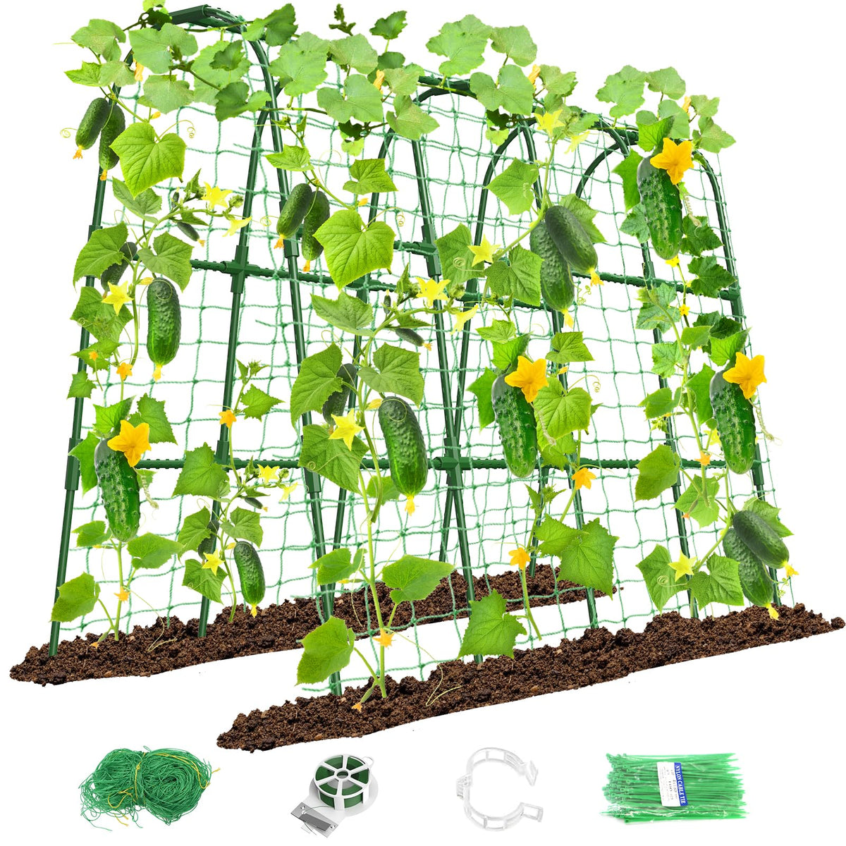 MYMULIKE cucumber trellis in raised bed enabling vertical growth
