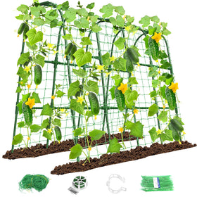 MYMULIKE cucumber trellis in raised bed enabling vertical growth