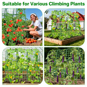 MYMULIKE detachable and reusable trellis folds away for seasonal reuse.