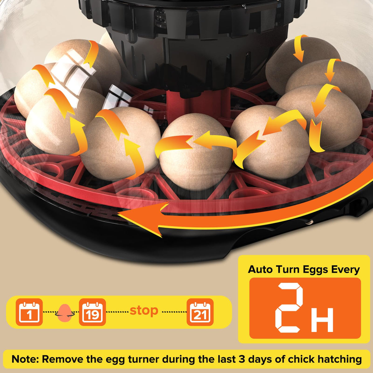 MYMULIKE digital-temperature-control enables precise adjustments for reliable incubation.
