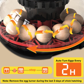 MYMULIKE digital-temperature-control enables precise adjustments for reliable incubation.