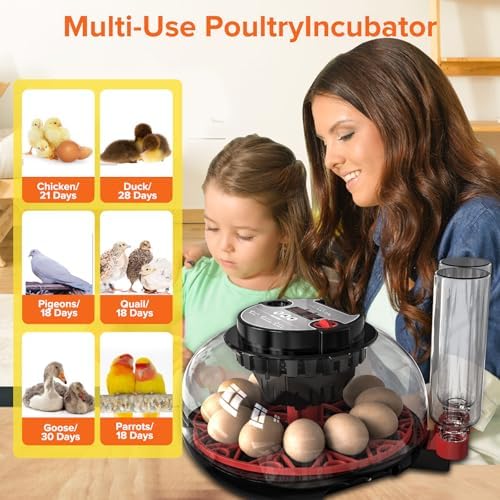 MYMULIKE dual-water-bottles support steady moisture with fewer refills.