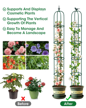 MYMULIKE easy-assembly obelisk trellis saves time without tools