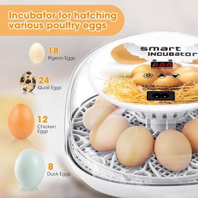 MYMULIKE egg candle to monitor embryo development