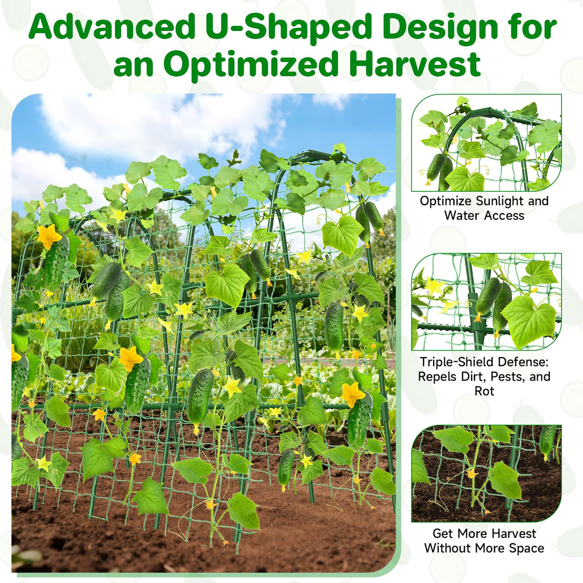 MYMULIKE garden arch supports climbing plants for optimal sunlight
