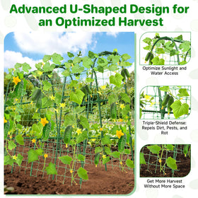 MYMULIKE garden arch supports climbing plants for optimal sunlight
