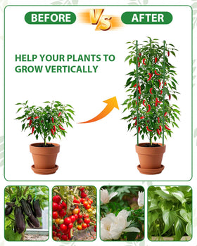 MYMULIKE versatile garden trellis for tomatoes, roses, beans, and fruiting plants.
