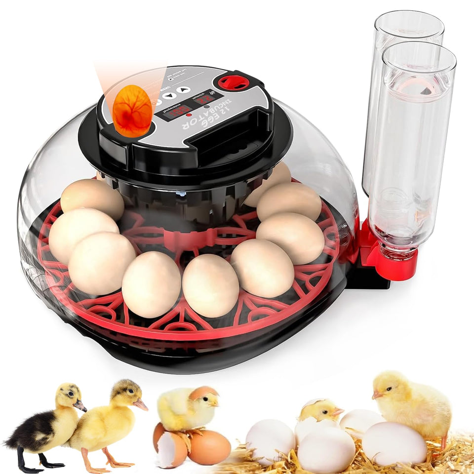 MYMULIKE HatchPro12 display confirms precise temperature and humidity for stable hatching conditions.