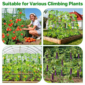 MYMULIKE leaf ties and clips guide vines securely