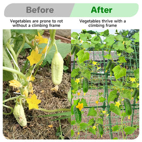 MYMULIKE includes clips, ties, and netting to guide vines and prevent breakage.