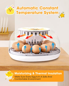 MYMULIKE incubator 360-degree clear window enables family viewing of hatching