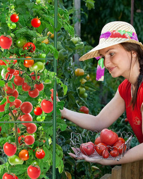 MYMULIKE ideal for outdoor gardens and greenhouses.