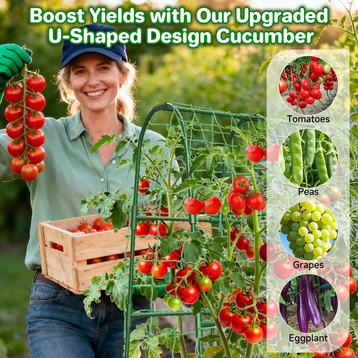 MYMULIKE supports tomatoes, cucumbers, beans, and peas