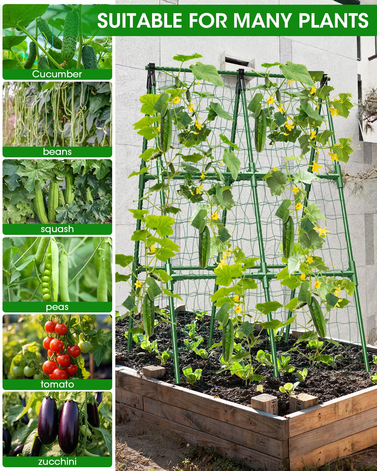 MYMULIKE rustproof trellis frame close-up shows durable coating.