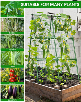 MYMULIKE rustproof trellis frame close-up shows durable coating.
