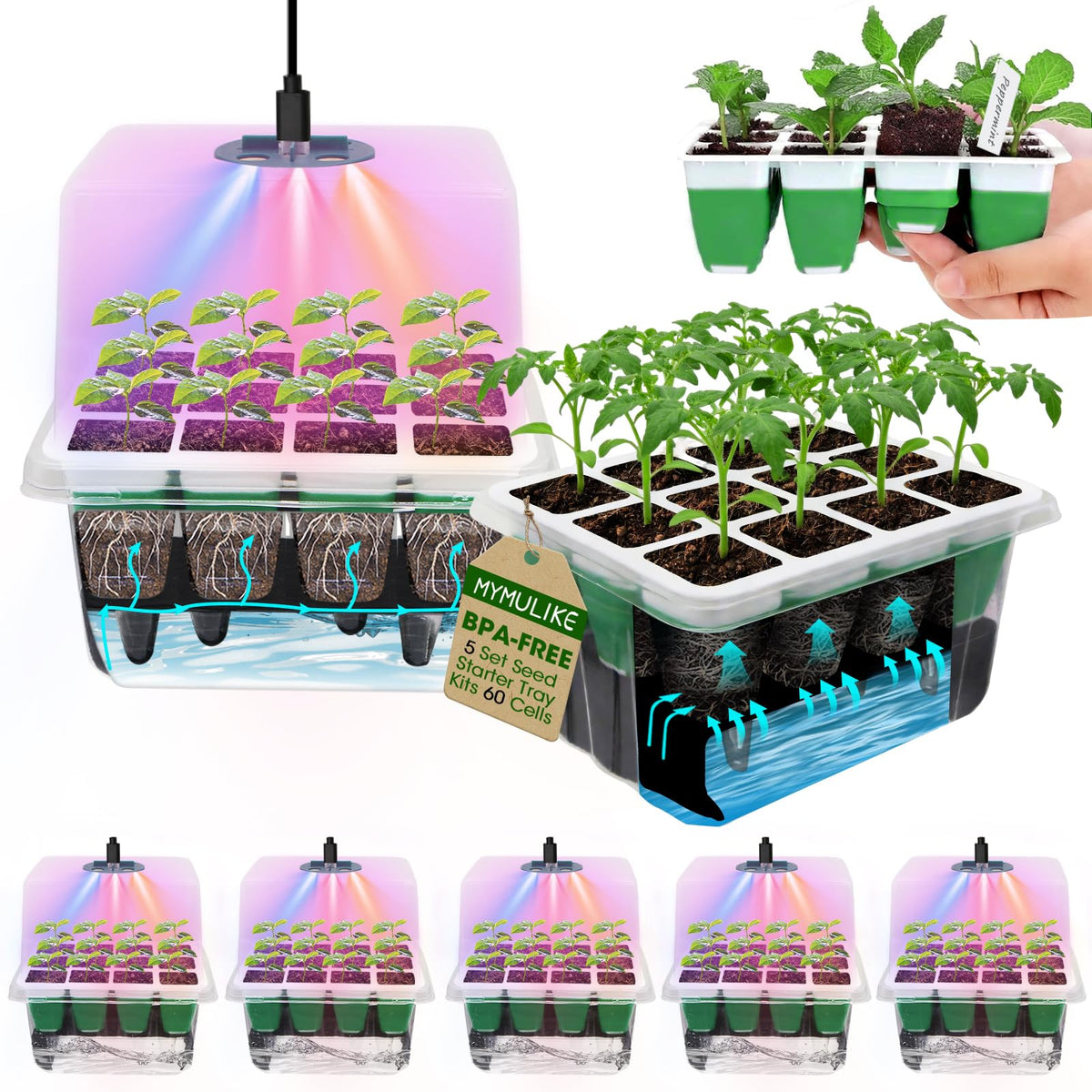 MYMULIKE seed starter tray 60 cells for efficient germination.