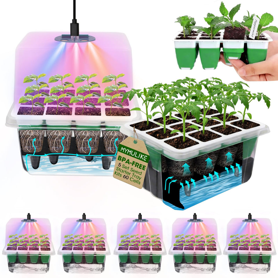 MYMULIKE seed starter tray 60 cells for efficient germination.