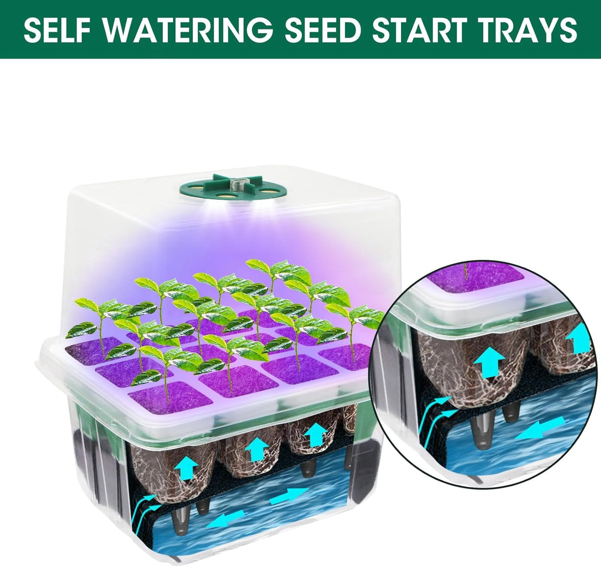 MYMULIKE three-light mode system supports different growth stages.