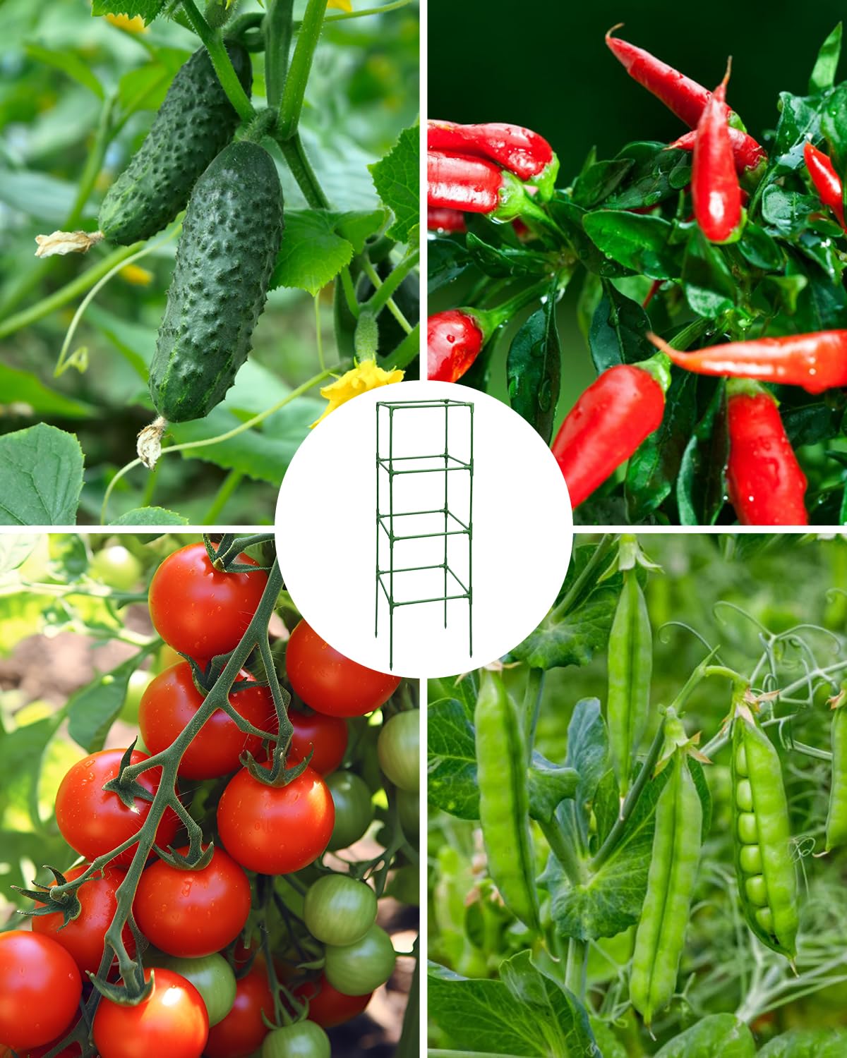 MYMULIKE heavy-duty finish endures heavy fruiting and frequent handling during harvest.
