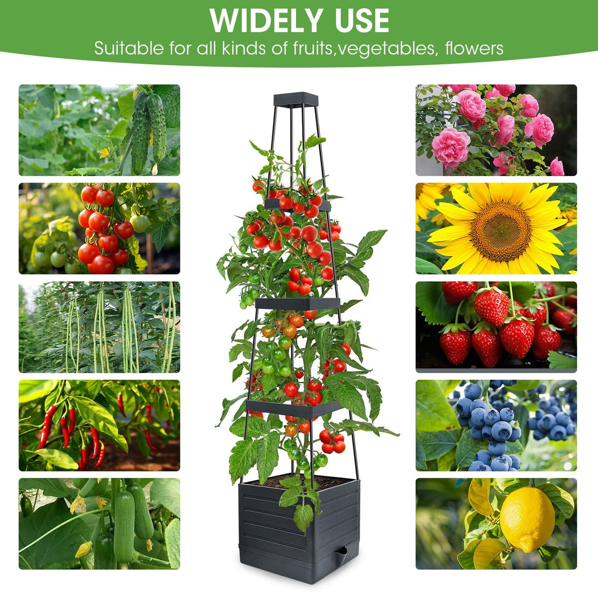 MYMULIKE trellis detail shows sturdy alloy frame for climbing plants