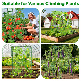 MYMULIKE trellis netting guides vines upward neatly.