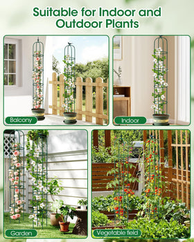 MYMULIKE twist ties guide plant growth for neat, orderly vines