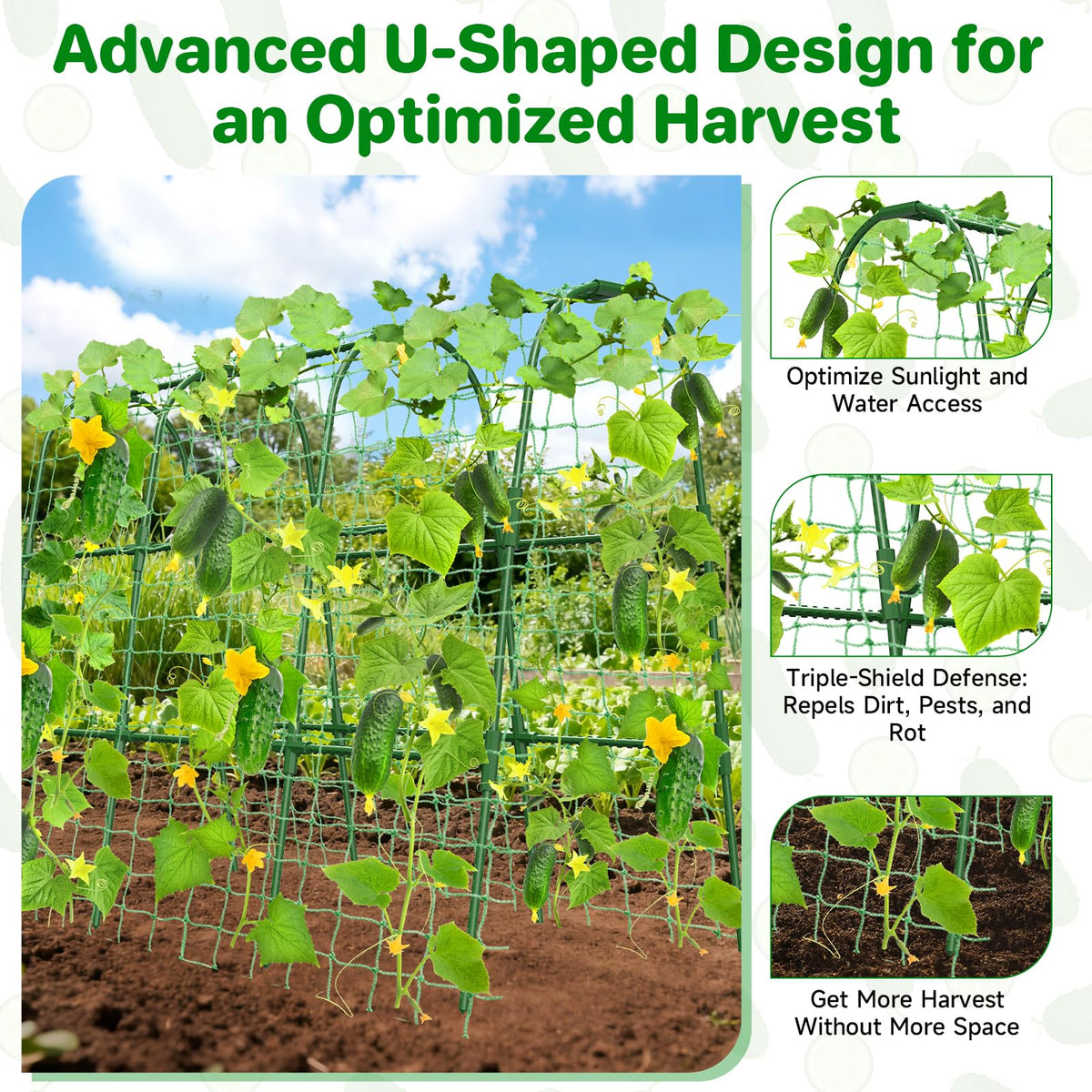 MYMULIKE U-shape plant-support keeps vines elevated for healthier growth and easier access.
